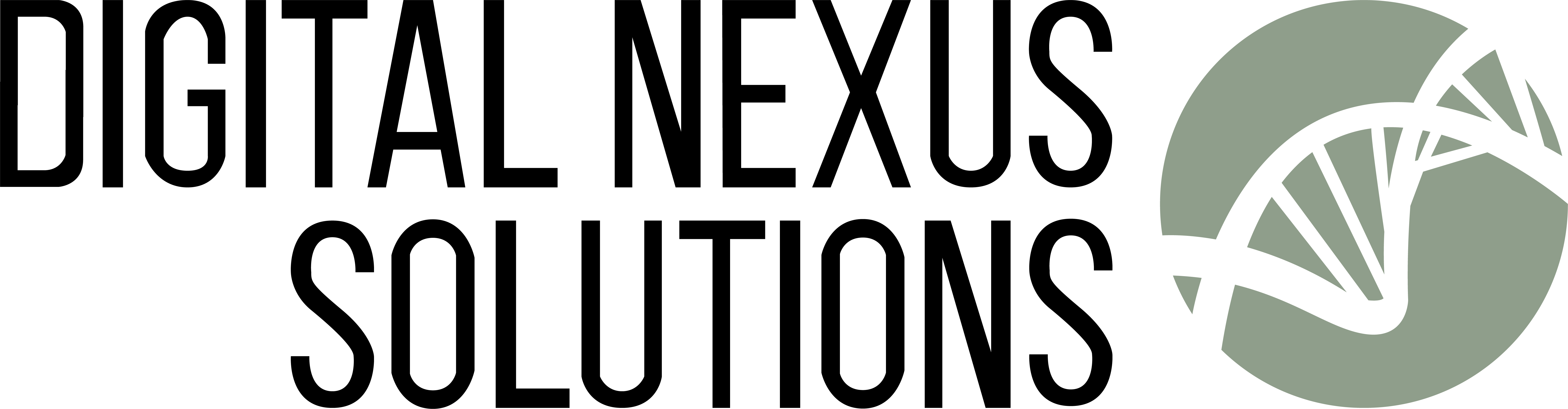 DigitalNexusSolutions